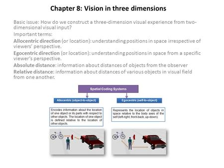 Chapter 8: Vision in three dimensions Basic issue: How do we construct a three-dimension visual experience from two- dimensional visual input? Important.