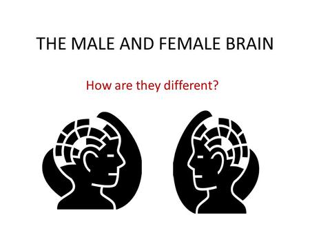 THE MALE AND FEMALE BRAIN How are they different?.