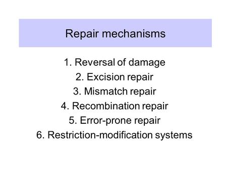 presentation on dna repair mechanism