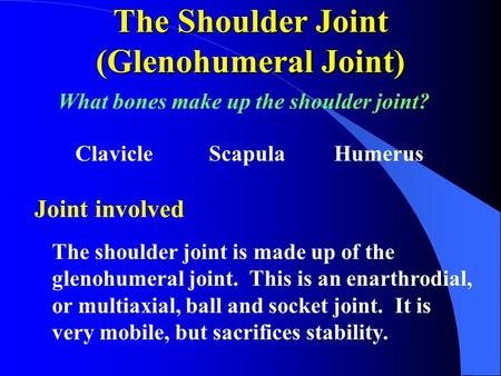 The Shoulder Joint (Glenohumeral Joint)