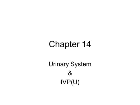 Urinary System & IVP(U)