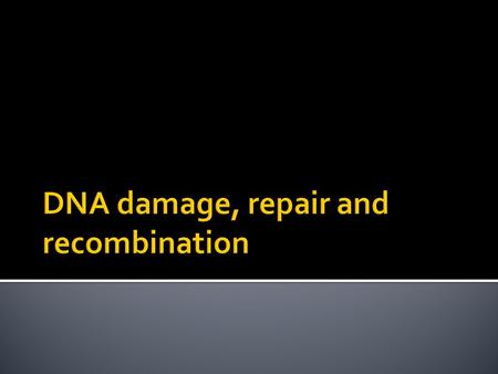 DNA damage, repair and recombination