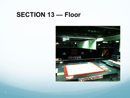 SECTION 13 — Floor 1. Artistic Performance An artistic performance is one in which the gymnast demonstrates her ability to transform her floor exercise.