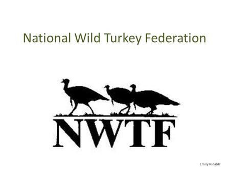 National Wild Turkey Federation Emily Rinaldi. The History On March 28, 1973, the Commonwealth of Virginia issued incorporation papers to a fledgling.