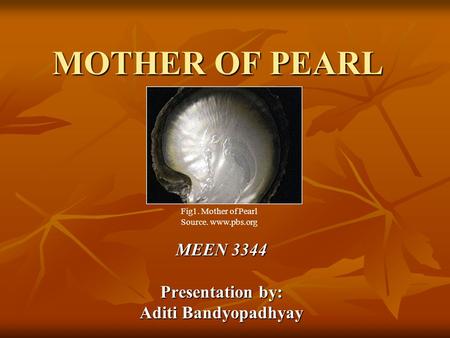 MOTHER OF PEARL MEEN 3344 Presentation by: Aditi Bandyopadhyay Fig1. Mother of Pearl Source. www.pbs.org.