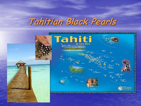 Tahitian Black Pearls. The Black Pearl in French Polynesia A symbol A symbol The pearl of Tahiti, Te Poe in Tahitian, is, with the tiara, the symbol of.