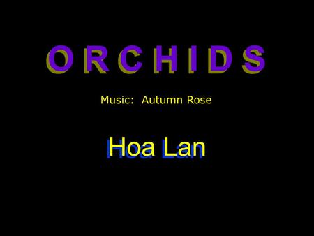 O R C H I D S O R C H I D S Hoa Lan Music: Autumn Rose.
