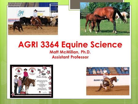 AGRI 3364 Equine Science Matt McMillan, Ph.D. Assistant Professor