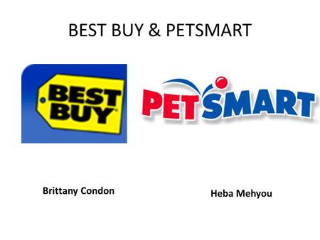 BEST BUY & PETSMART Brittany Condon Heba Mehyou. Best Buy’s Financial Analysis 2008 $Ms 2007 $Ms Net Sales45,01540,023 Gross Profit10,998 24.4%9,546 23.9%