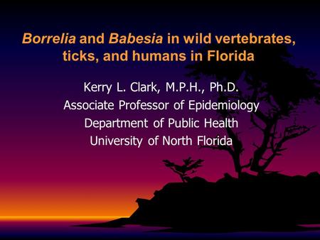 Borrelia and Babesia in wild vertebrates, ticks, and humans in Florida Kerry L. Clark, M.P.H., Ph.D. Associate Professor of Epidemiology Department of.
