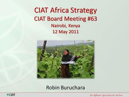 Eco-Efficient Agriculture for the Poor Robin Buruchara CIAT Africa Strategy CIAT Board Meeting #63 Nairobi, Kenya 12 May 2011.