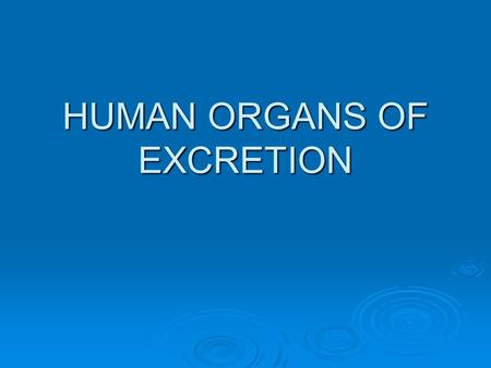 HUMAN ORGANS OF EXCRETION. LUNGS  Excrete carbon dioxide and water  These are the wastes of cellular respiration.