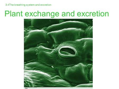 Plant exchange and excretion