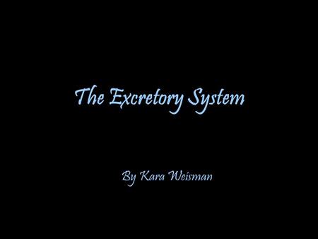 The Excretory System By Kara Weisman.