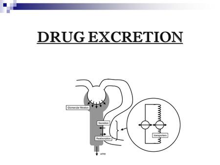 DRUG EXCRETION. The process by which drugs or metabolites are irreversibly transferred from internal to external environment through renal or non renal.