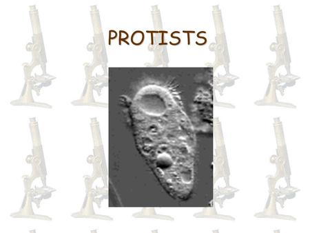 PROTISTS. Protists Protists: Unicellular eukaryotic organisms.Protists: Unicellular eukaryotic organisms. Over 115,000 speciesOver 115,000 species Eukaryotic.