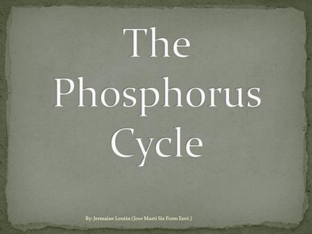 The Phosphorus Cycle By: Jermaine Loutin (Jose Marti Six Form Envi.)
