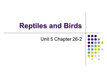 Reptiles and Birds Unit 5 Chapter 26-2. Reddish-Brown Frilled Lizard