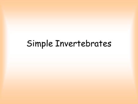 Simple Invertebrates. Is a snake an invertebrate?