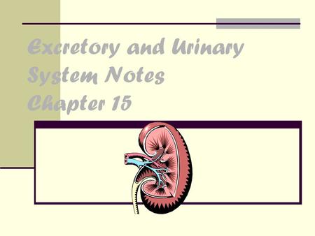 Excretory and Urinary System Notes Chapter 15. Functions of the Urinary System Slide 15.1a Copyright © 2003 Pearson Education, Inc. publishing as Benjamin.