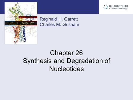Chapter 26 Synthesis and Degradation of Nucleotides
