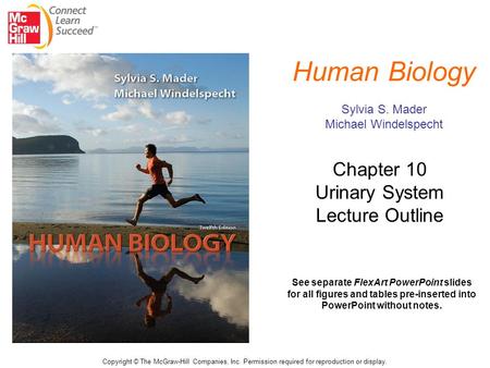 Human Biology Sylvia S. Mader Michael Windelspecht