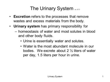 Urinary System1 The Urinary System rev 4/11 Excretion refers to the processes that remove wastes and excess materials from the body. Urinary system has.