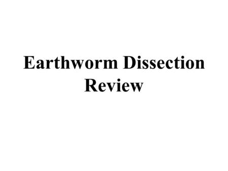 Earthworm Dissection Review