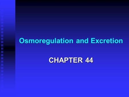 Osmoregulation and Excretion CHAPTER 44. WATER BALANCE Osmolarity - total solute concentration (M) = moles of solute per liter Osmolarity - total solute.