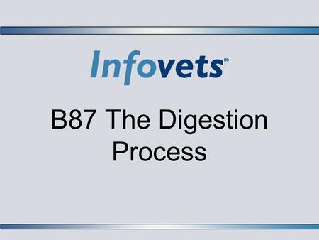 B87 The Digestion Process