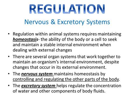 REGULATION Nervous & Excretory Systems