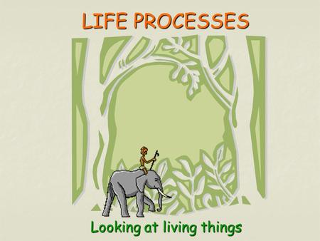 LIFE PROCESSES LIFE PROCESSESLooking at living things.