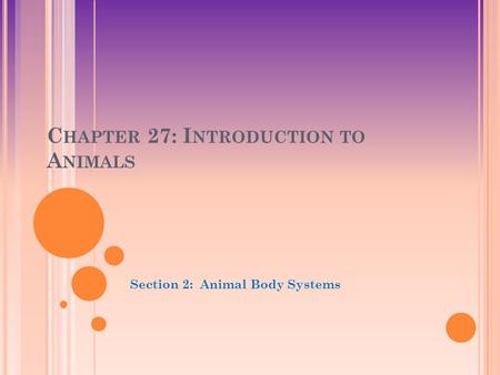 C HAPTER 27: I NTRODUCTION TO A NIMALS Section 2: Animal Body Systems.