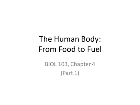 The Human Body: From Food to Fuel BIOL 103, Chapter 4 (Part 1)