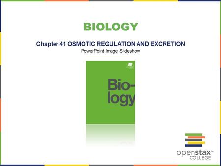 Chapter 41 OSMOTIC REGULATION AND EXCRETION