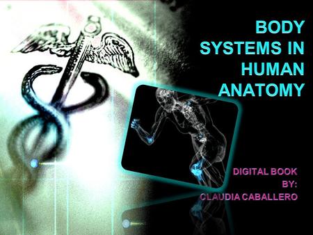 11. Skeletal System 2 2 4 4 3 3 Functions of the Skeletal System.