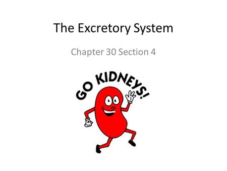 The Excretory System Chapter 30 Section 4. What is excretion and why do we do it? Excretion is the removal of chemical waste product from the body We.