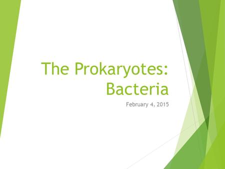 The Prokaryotes: Bacteria February 4, 2015. The Prokaryotes.