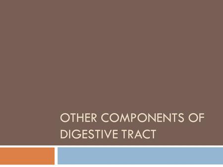 OTHER COMPONENTS OF DIGESTIVE TRACT. Passage rate  How fast ingesta passes through the rumen  Physical form of feed ingredients  Rumination  Feeding.