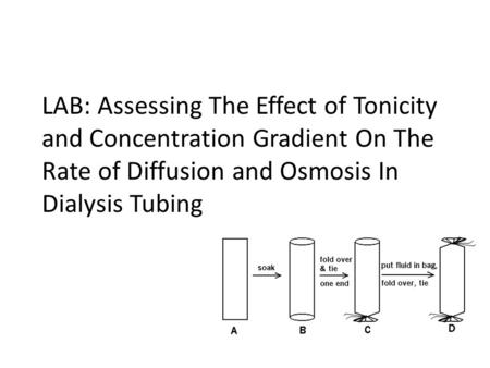 LAB: Assessing The Effect of Tonicity and Concentration Gradient On The Rate of Diffusion and Osmosis In Dialysis Tubing.