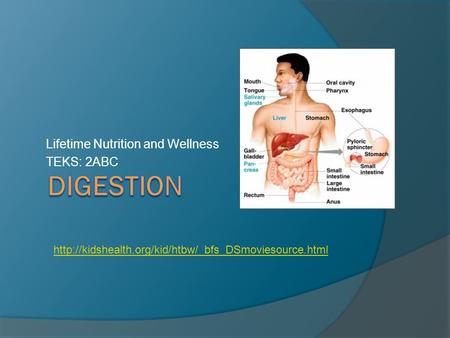Lifetime Nutrition and Wellness TEKS: 2ABC