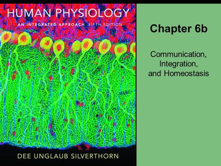 Chapter 6b Communication, Integration, and Homeostasis.