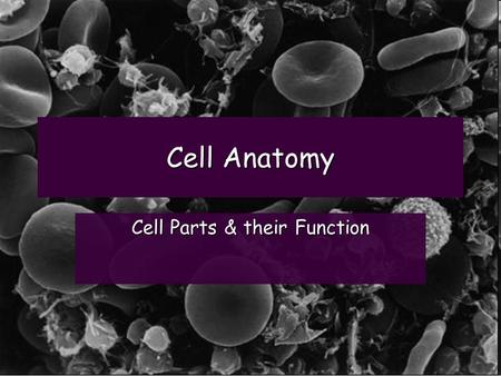 Cell Anatomy Cell Parts & their Function. What is a Cell? A cell is the smallest unit that is capable of performing life functions. It is the basic unit.
