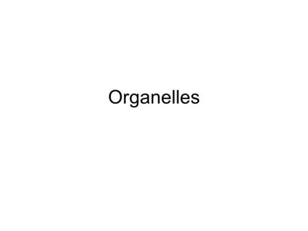 Organelles. The nucleus contains a eukaryotic cell’s genetic library The nucleus contains most of the genes in a eukaryotic cell –Some genes are located.