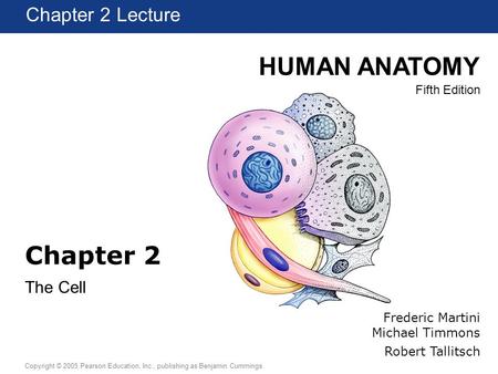 HUMAN ANATOMY Fifth Edition Chapter 1 Lecture Copyright © 2005 Pearson Education, Inc., publishing as Benjamin Cummings Chapter 2 Lecture Chapter 2 The.
