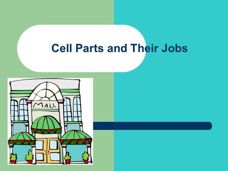 Cell Parts and Their Jobs