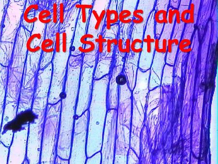 Cell Types and Cell Structure