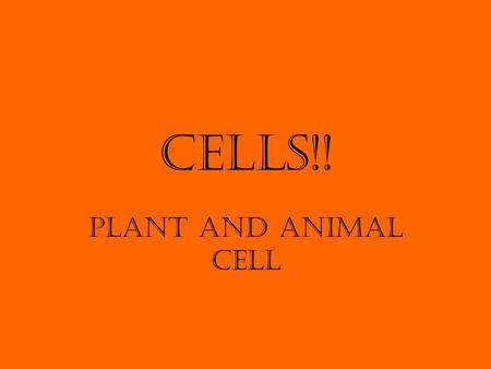 Cells!! Plant and Animal Cell.