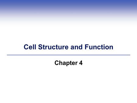 Cell Structure and Function Chapter 4. 4.1 What is a Cell?  Each cell has a plasma membrane, cytoplasm, and a nucleus (in eukaryotic cells) or a nucleoid.
