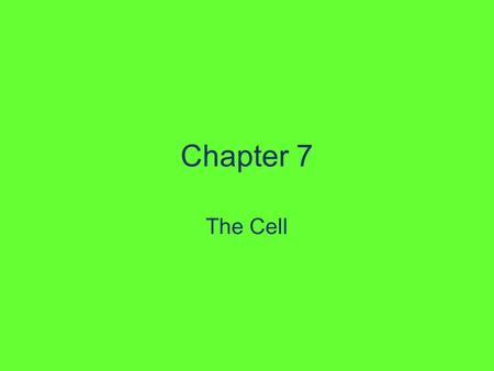 Chapter 7 The Cell.